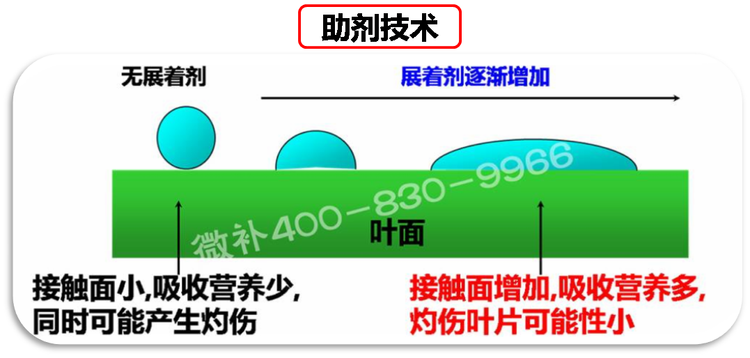 余教授德國鄉(xiāng)村行：我在德國為什么不會點啤酒了？