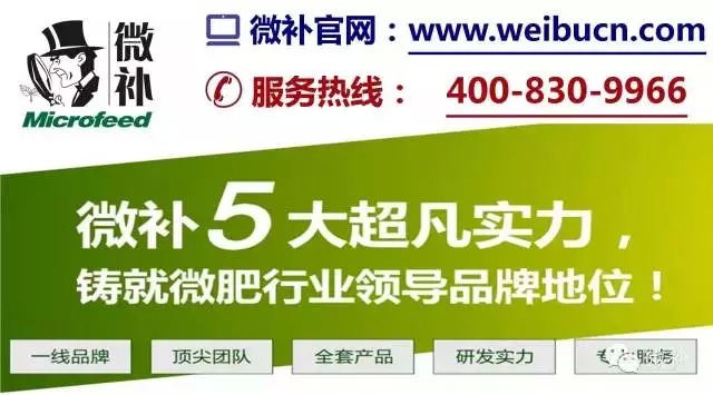 余教授奧地利鄉(xiāng)村行：萬科為什么說把奧地利小鎮(zhèn)搬回來？