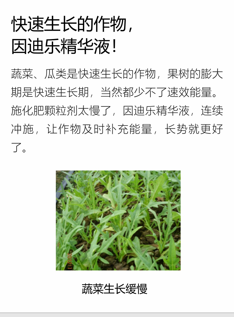 因迪樂(lè)精華液(1)_07.jpg