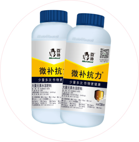 如何做好冬季清園，減少來年病蟲害影響
