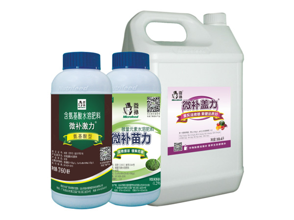 讓作物安全過冬的實用小妙招，速看