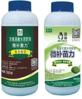讓作物安全過(guò)冬的實(shí)用小妙招，速看