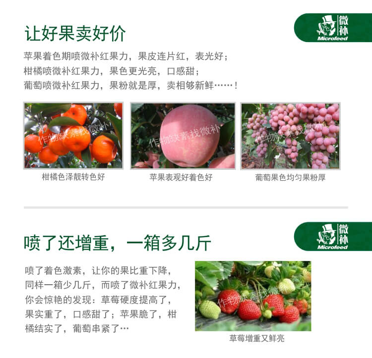 微補(bǔ)紅果力
