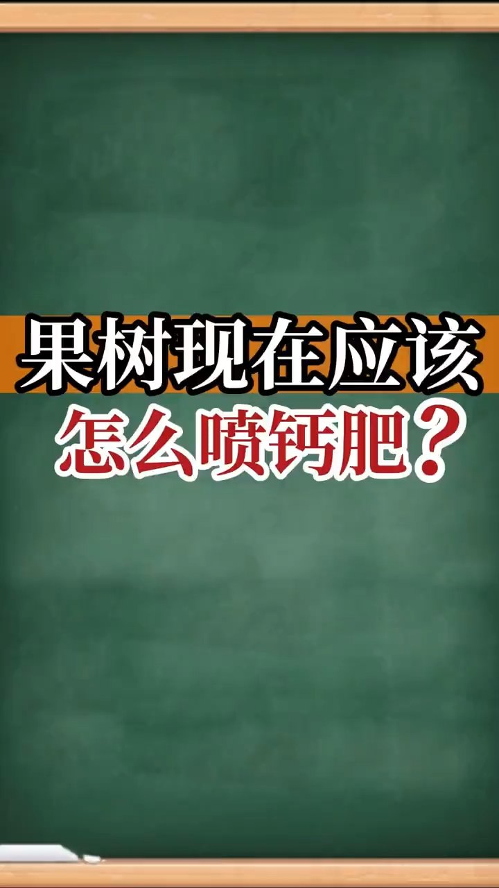 果樹現(xiàn)在應(yīng)該怎么噴鈣肥？